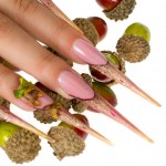 Unghii stiletto decorate cu ghinde