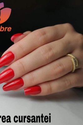 5 Forme de salon - cu AcrylProGel